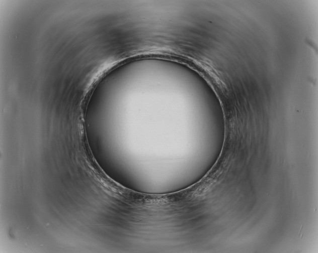 X0000096391363200802141445