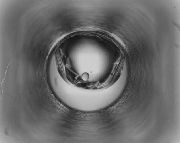 X0000096391364200802141445
