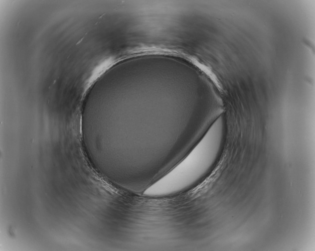 X0000096391365200802141445