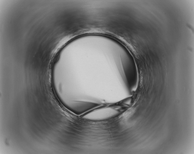 X0000096391367200802141445