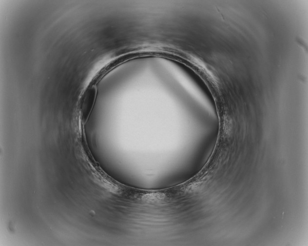 X0000096391368200802141445