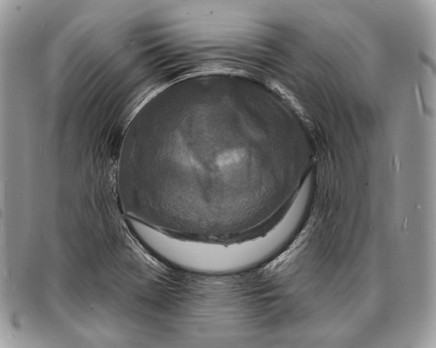 X0000096391369200802141445
