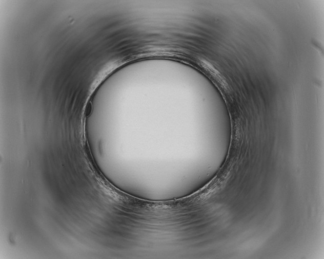X0000096391370200802141445