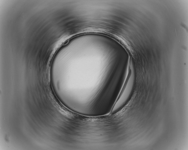X0000096391371200802141445