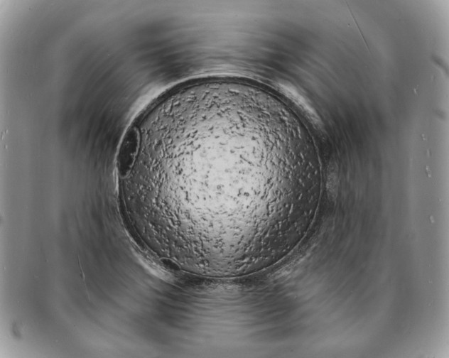X0000096391372200802141445