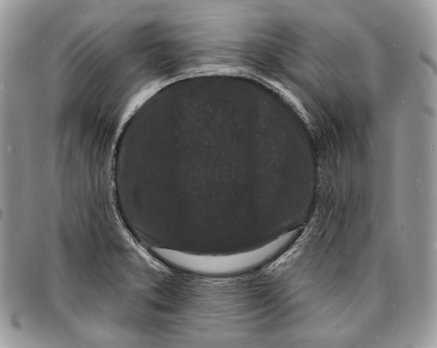 X0000096391373200802141445