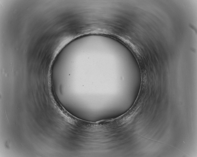 X0000096391375200802141445