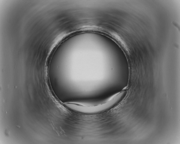 X0000096391376200802141445