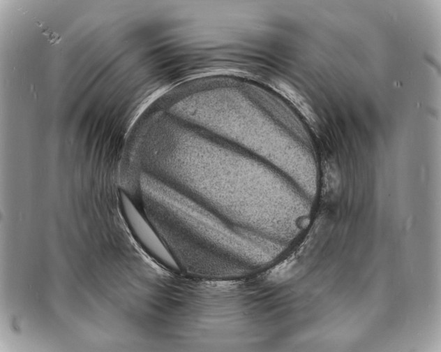 X0000096391377200802141445