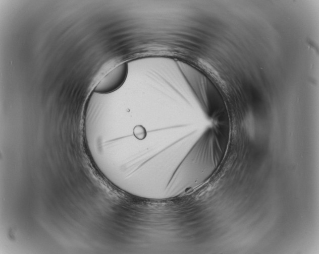 X0000096391378200802141445