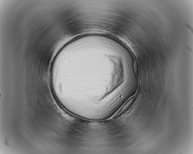 X0000096391379200802141445