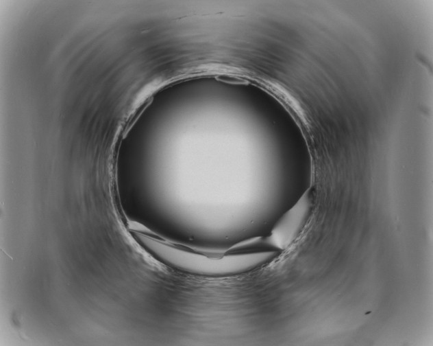 X0000096391381200802141445