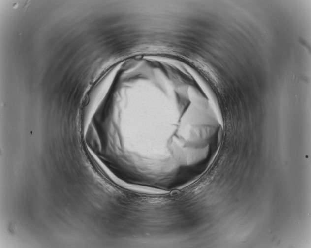 X0000096391382200802141445