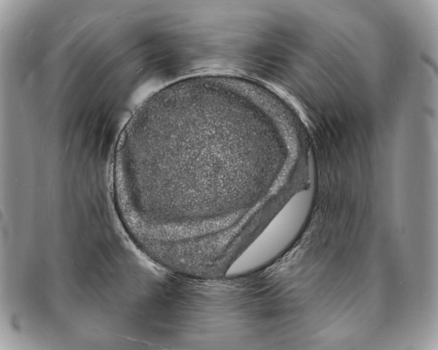 X0000096391383200802141445