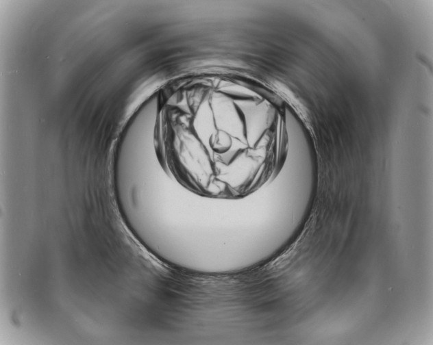 X0000096391384200802141445