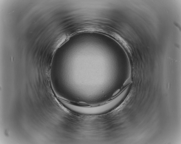 X0000096391385200802141445