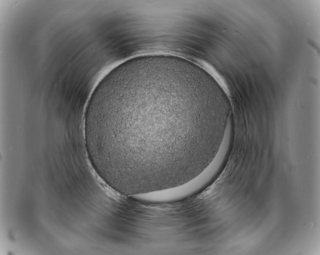 X0000096391388200802141444
