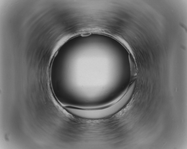 X0000096391389200802141444