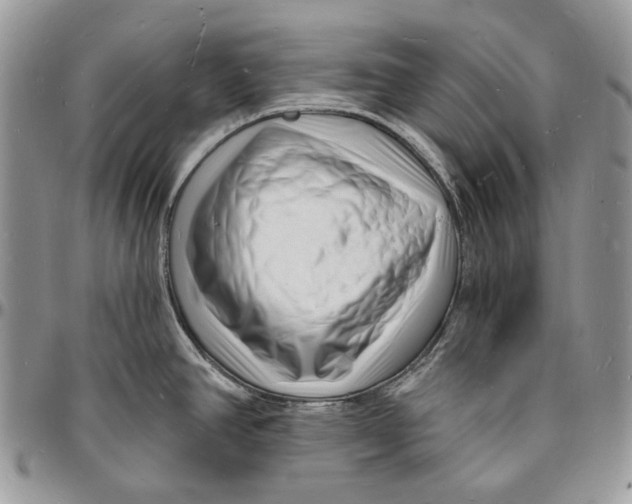 X0000096391390200802141444