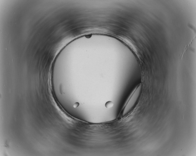 X0000096391391200802141444