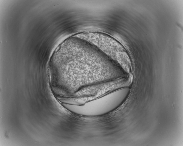 X0000096391392200802141444