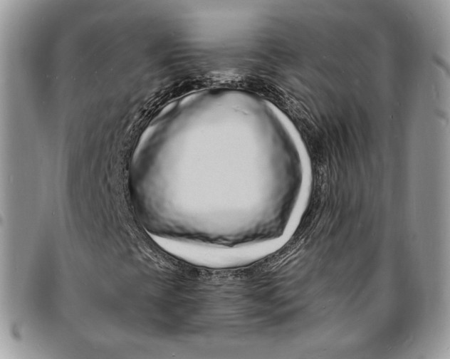 X0000096391393200802141444