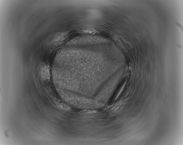 X0000096391394200802141444