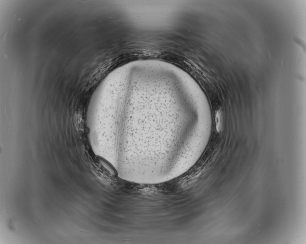X0000096391395200802141444