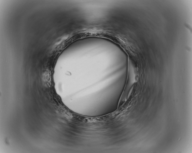 X0000096391398200802141444