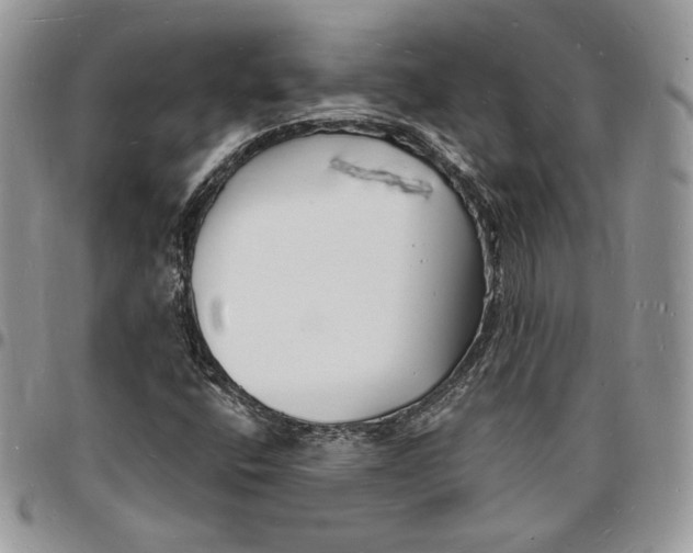 X0000096391400200802141444
