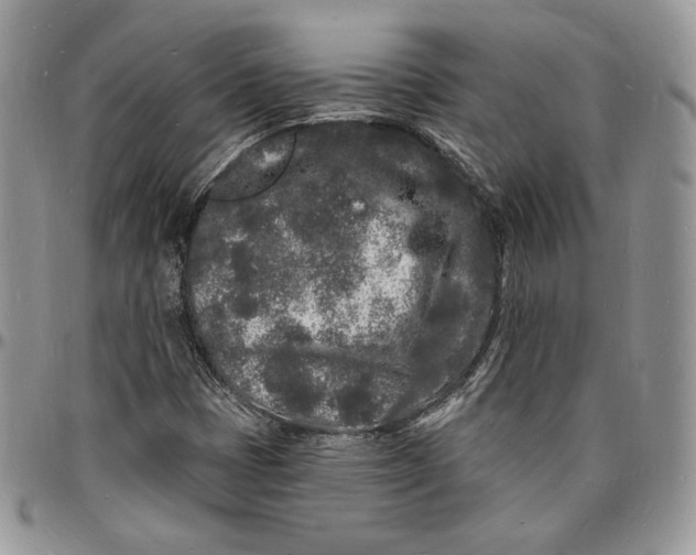 X0000096391401200802141444