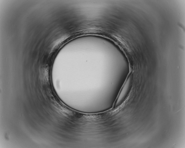 X0000096391402200802141444