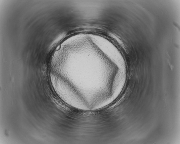 X0000096391403200802141444