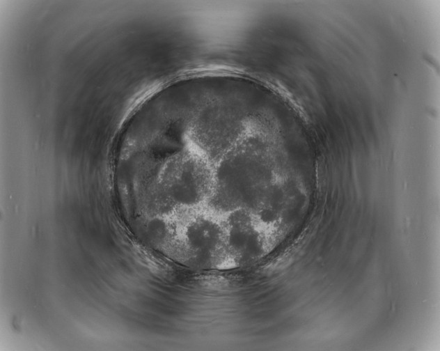 X0000096391405200802141444