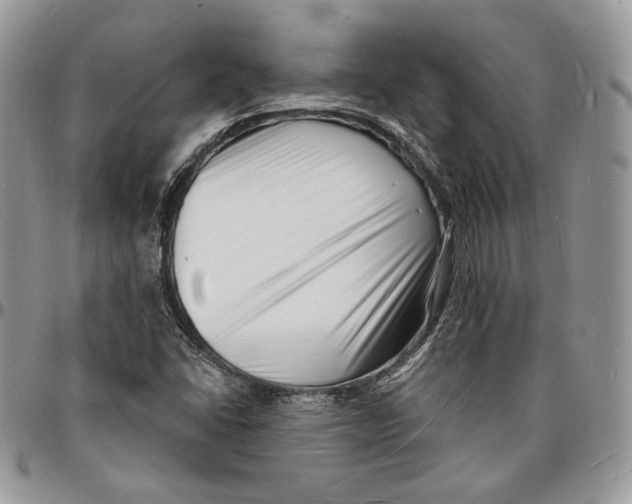 X0000096391406200802141444