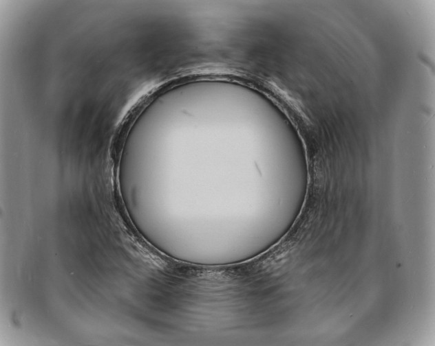 X0000096391408200802141444