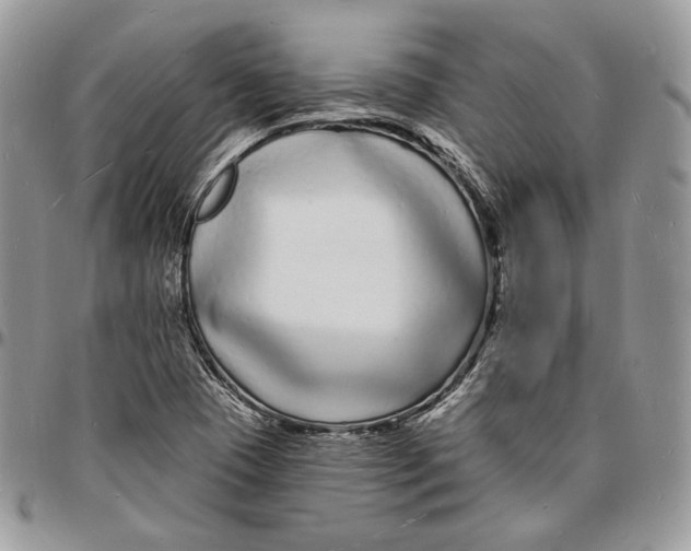 X0000096391409200802141444