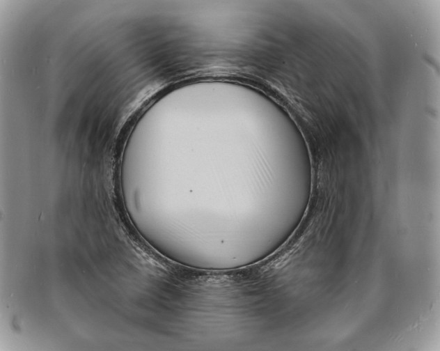 X0000096391410200802141444