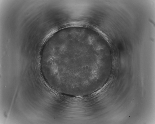 X0000096391411200802141444