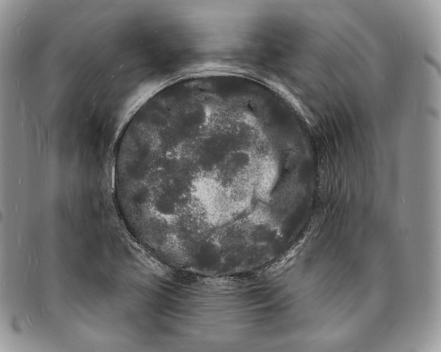 X0000096391413200802141444