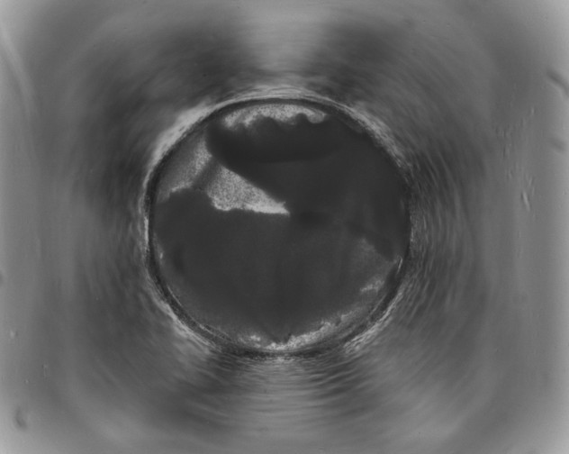 X0000096391414200802141444