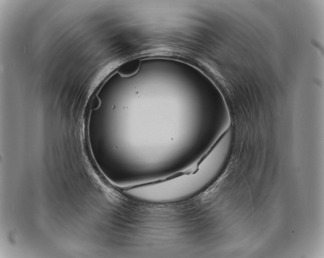 X0000096391418200802141444