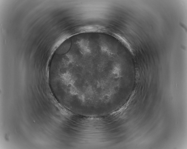 X0000096391419200802141444