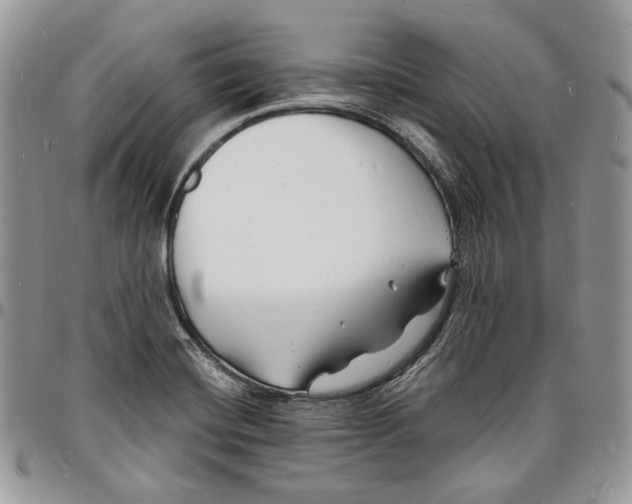 X0000096391420200802141444