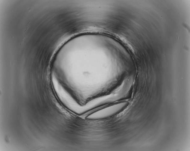 X0000096391421200802141444