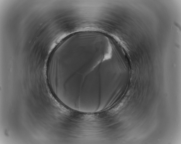 X0000096391422200802141444