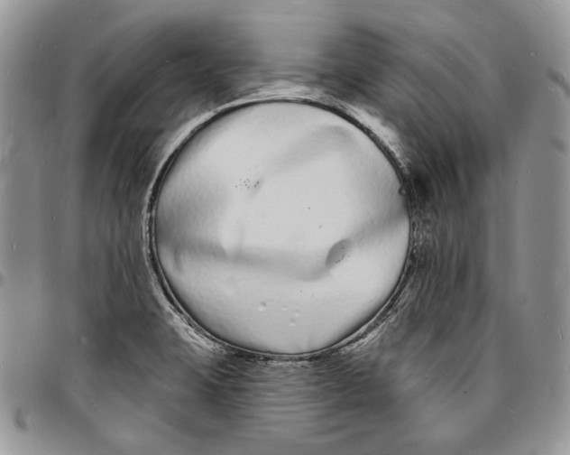 X0000096391423200802141444