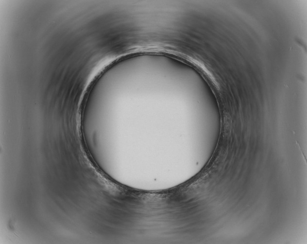 X0000096391424200802141444