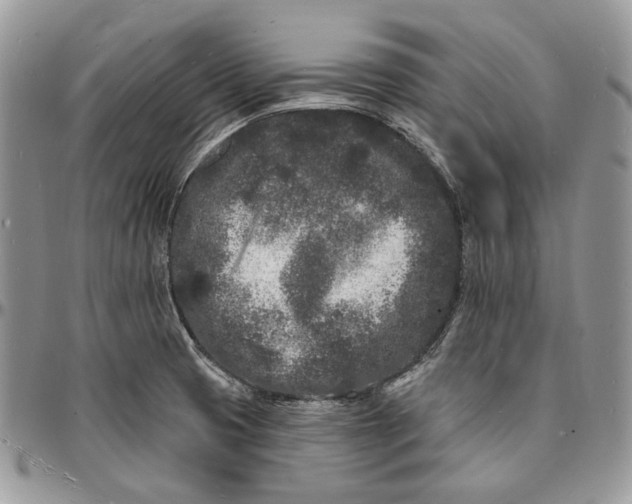 X0000096391425200802141444