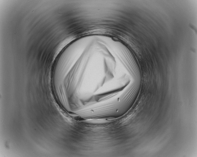 X0000096391426200802141444